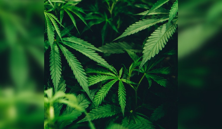East Point City Council Advances Decriminalization of Marijuana with New Ordinance