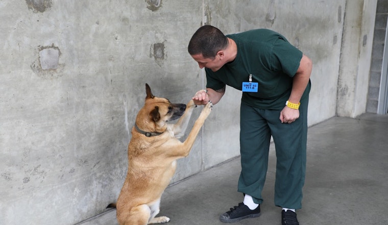 End of an Era in Gwinnett County: Beloved Jail Dogs Program Concludes Due to Facility Reconstruction