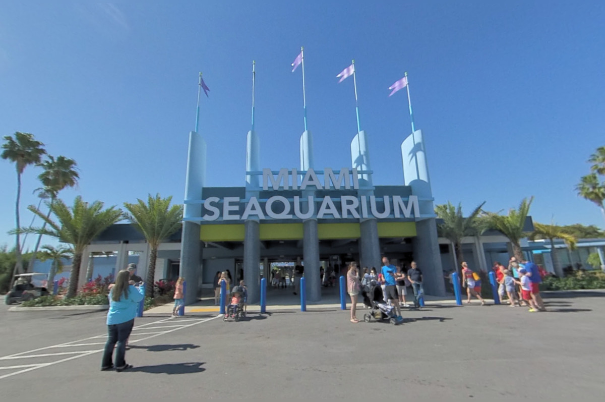 End of an Era: Romeo and Juliet Manatees Move from Miami to ZooTampa