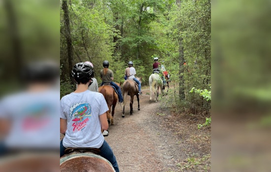 Equestrian Centers Draw Urbanites to the Saddle