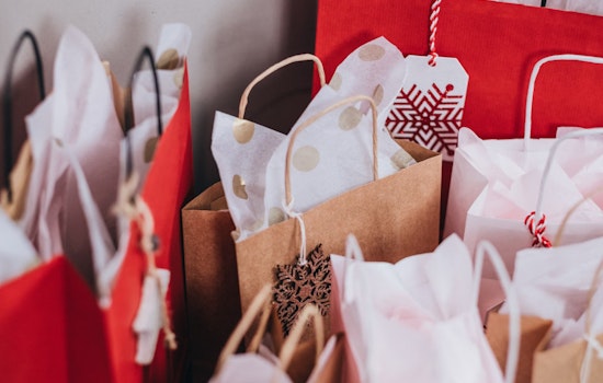 Experts Warn of Uptick in Financial Scams Targeting Holiday Shoppers and Small Businesses