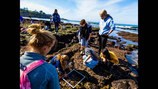 Explore the Wonders of Tide Pools with Birch Aquarium's Tidepooling Adventures in San Diego