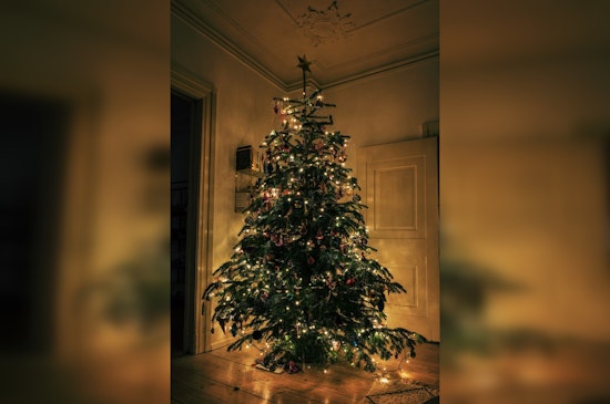 Austin-area Fire Experts Alight Concern Over Christmas Tree Fires