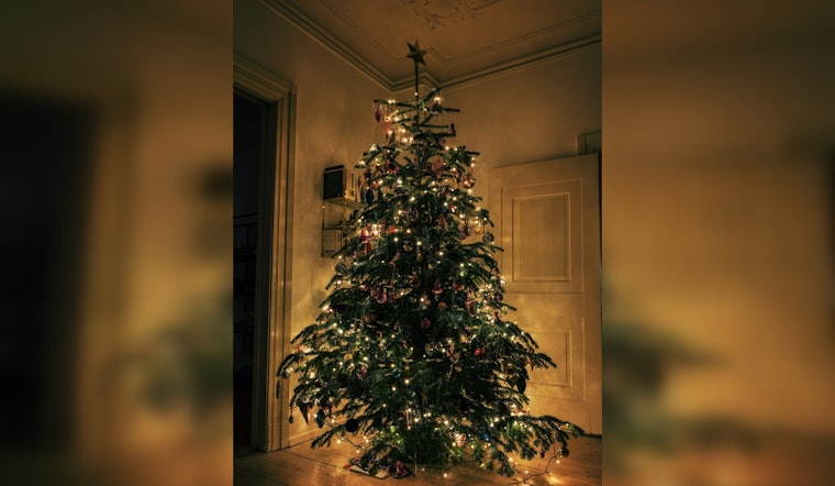Austin-area Fire Experts Alight Concern Over Christmas Tree Fires