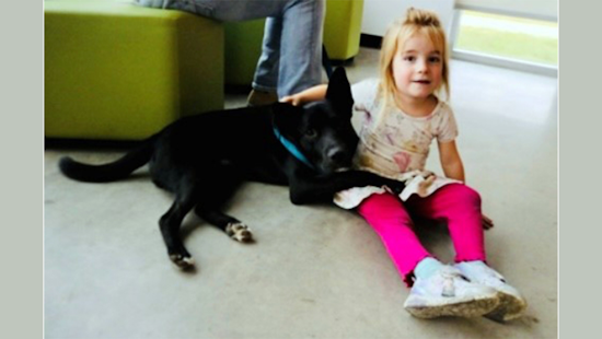 Fort Worth Shelter Extends Helping Hand to Family's Dog Rejected for Overseas Flight