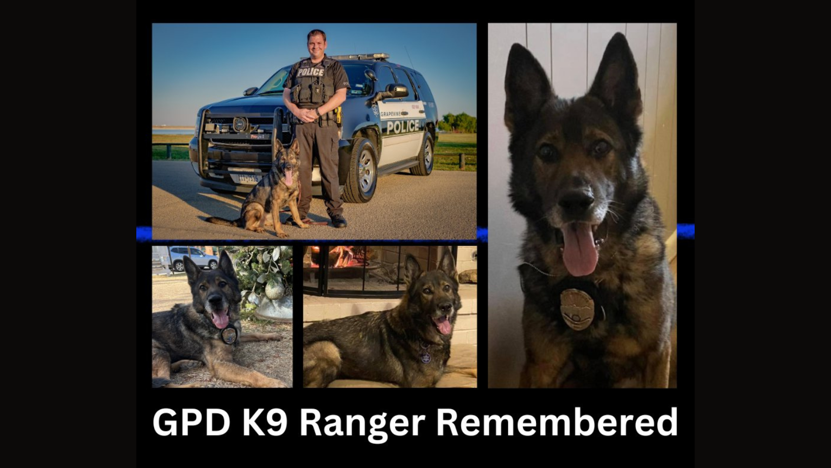 Grapevine Police Department Mourns The Loss Of Beloved Retired K9