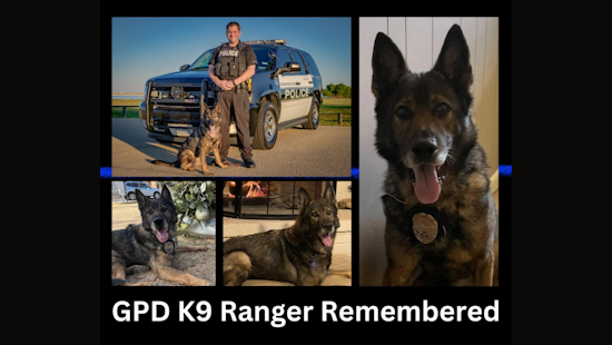 Grapevine Police Department Mourns the Loss of Beloved Retired K9 Ranger