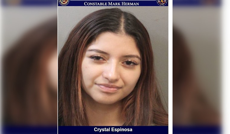 Harris County Deputies Arrest Intoxicated Woman Who Reported Being Followed