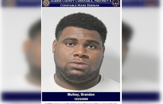 Harris County Deputies Arrest Wanted Felon on Aggravated Assault Warrants in Tomball Parkway Disturbance