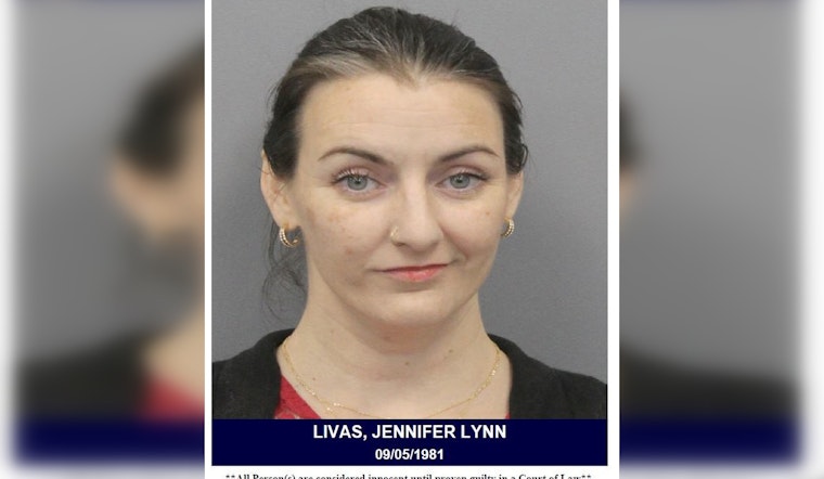 Harris County Woman Charged With DWI After High Breathalyzer Results in Constable's Holiday Crackdown