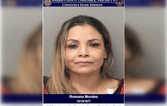 Harris County Woman Charged with Second DWI After Crash, Resists Arrest