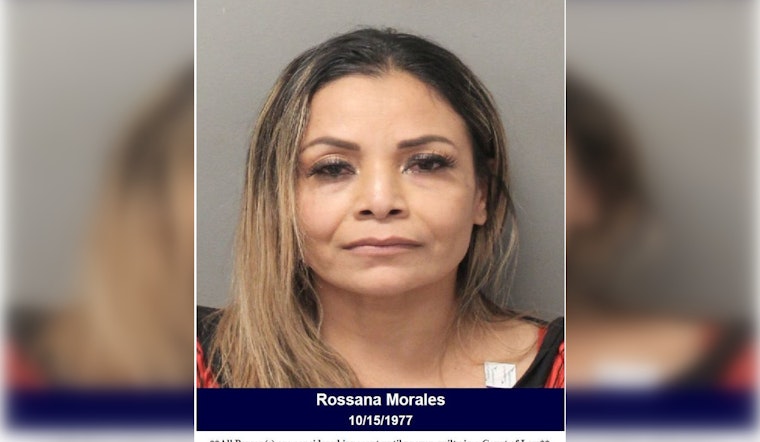 Harris County Woman Charged with Second DWI After Crash, Resists Arrest
