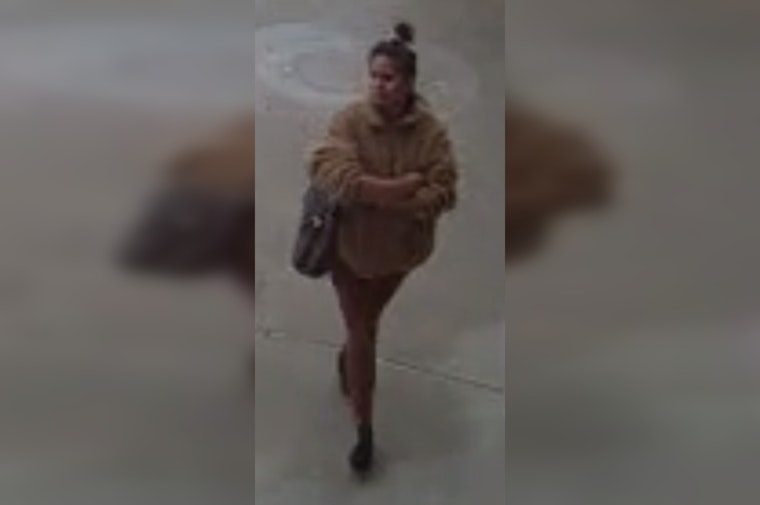 Houston Police Search for Suspected Assailant Linked to Two Random Assaults in December