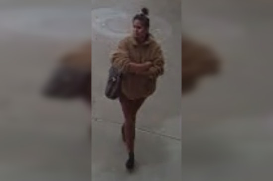 Houston Police Search for Suspected Assailant Linked to Two Random Assaults in December