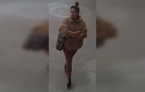 Houston Police Search for Suspected Assailant Linked to Two Random Assaults in December
