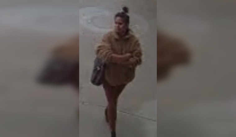 Houston Police Search for Suspected Assailant Linked to Two Random Assaults in December