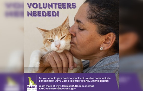 Houston's BARC Introduces Tiered Volunteer Program to Boost Animal Shelter and Adoption Services in 2024