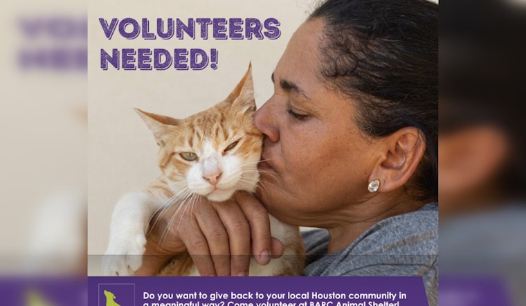 Houston's BARC Introduces Tiered Volunteer Program to Boost Animal Shelter and Adoption Services in 2024