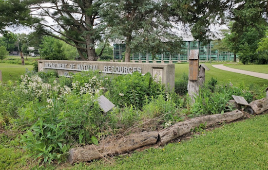 Illinois Reels in Record-Setting 750,000 Pounds of Invasive Carp in Epic River Rumble