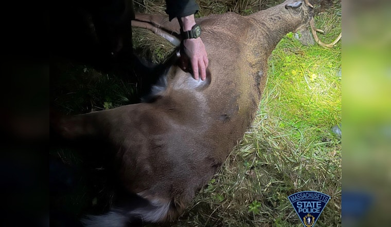 Worthington and Colrain Brothers Accused of Wildlife Poaching in Massachusetts