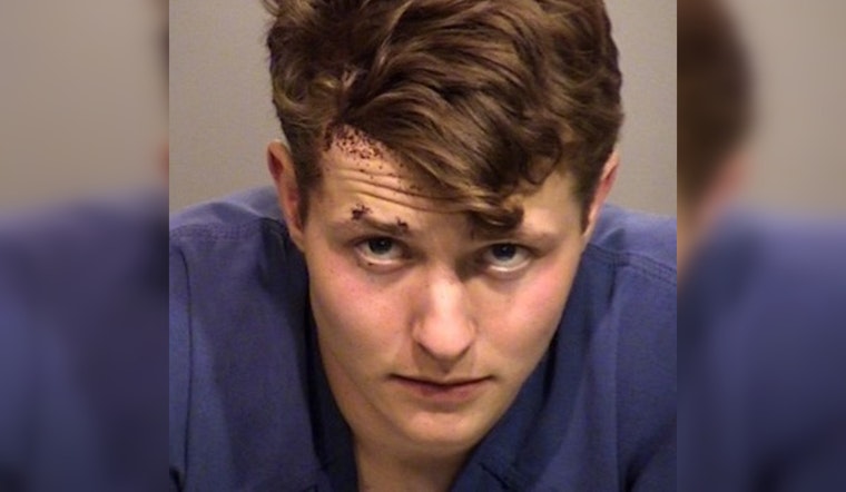 Son Pleads Not Guilty to Murder of Mother, Assault on Father in Thousand Oaks