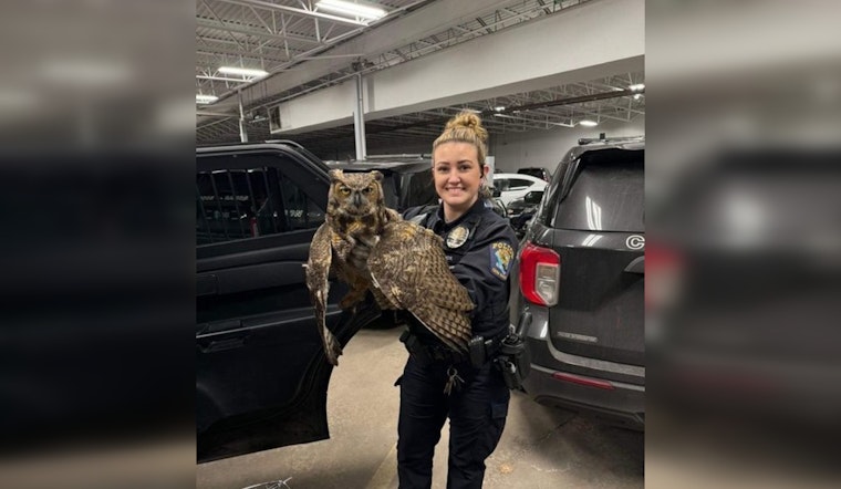 Injured Owl Rescued by Coon Rapids Police Sadly Euthanized Due to Critical Injuries