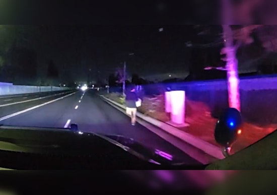 Irvine Burglary Suspect Luiz Ortiz Captured After High-Speed Chase Ending in Santa Ana