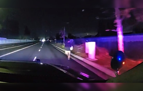 Irvine Burglary Suspect Luiz Ortiz Captured After High-Speed Chase Ending in Santa Ana
