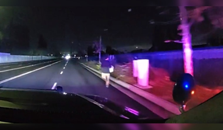 Irvine Burglary Suspect Luiz Ortiz Captured After High-Speed Chase Ending in Santa Ana