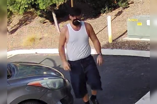 Irvine Police Seek Public's Help in Locating Suspected Serial Package Thief Anthony Brian Palusso