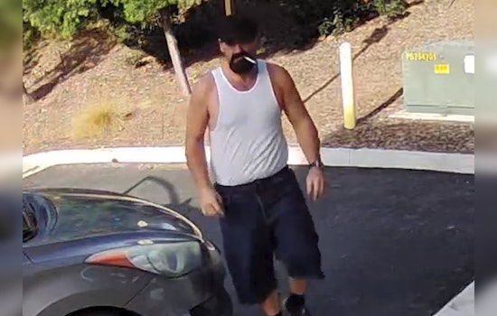 Irvine Police Seek Public's Help in Locating Suspected Serial Package Thief Anthony Brian Palusso