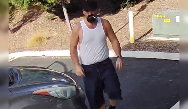 Irvine Police Seek Public's Help in Locating Suspected Serial Package Thief Anthony Brian Palusso