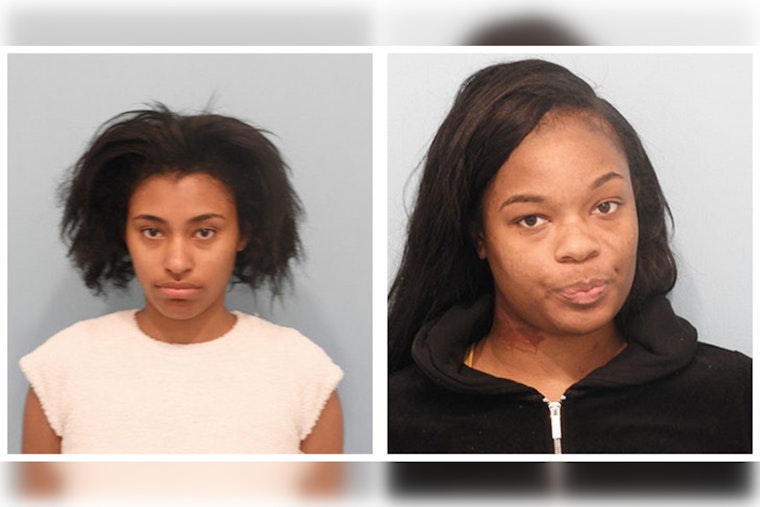 Joliet Women Arrested for Alleged Retail Theft at Naperville Dick’s Sporting Goods