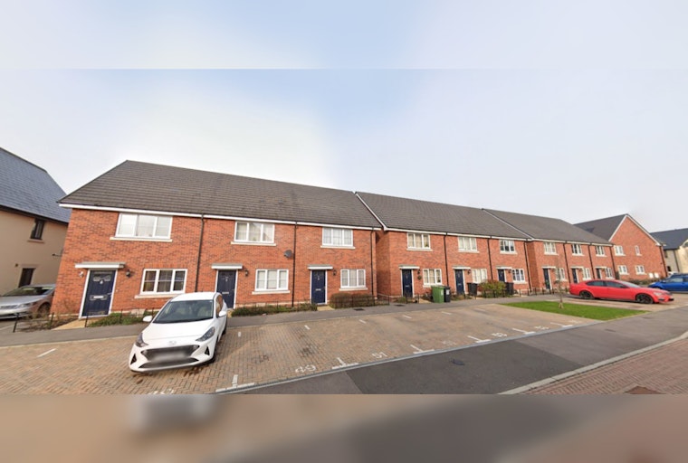 K9 Cops Claw Their Way To Alleged Child Rapist in Dramatic Massachusetts Woods Capture