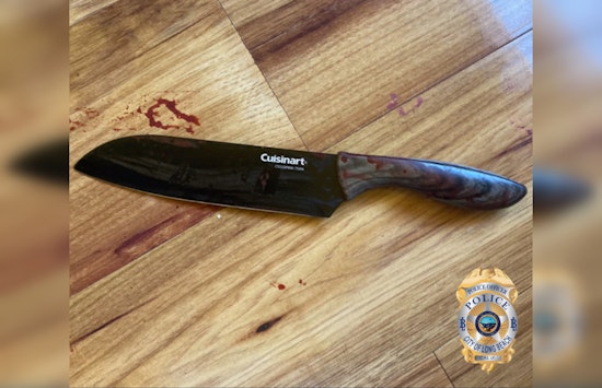 Knife-Wielding Son Fatally Shot by Long Beach Cops After Alleged Matricide Attempt