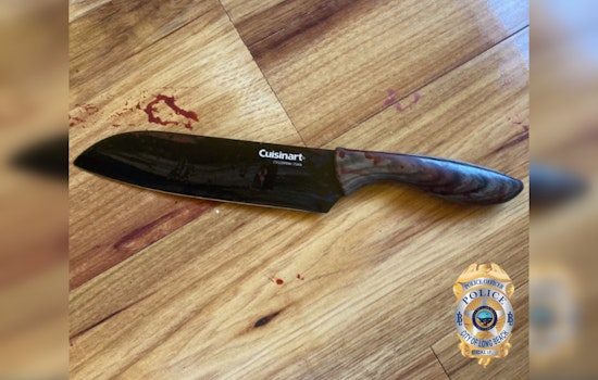 Knife-Wielding Son Fatally Shot by Long Beach Cops After Alleged Matricide Attempt