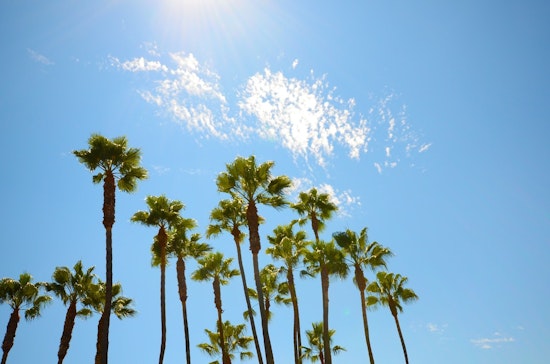 LA Set for a Sunny Christmas with 69-Degree High Amid Air Quality Concerns and No-Burn Order