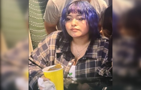LA Sheriff Seeks Public's Help to Find At-Risk 17-Year-Old