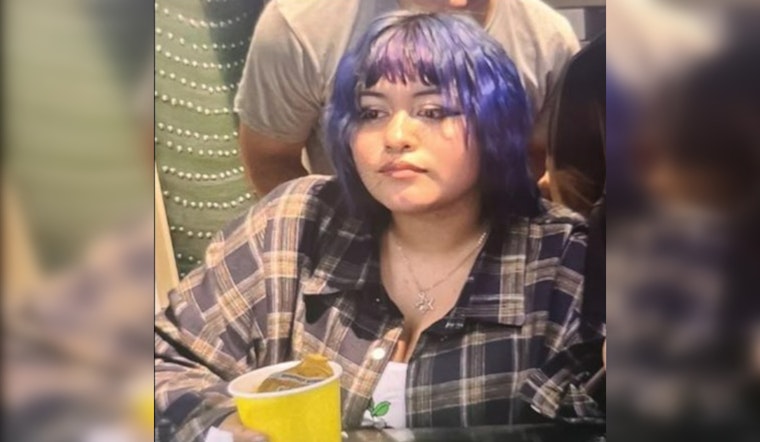 LA Sheriff Seeks Public's Help to Find At-Risk 17-Year-Old