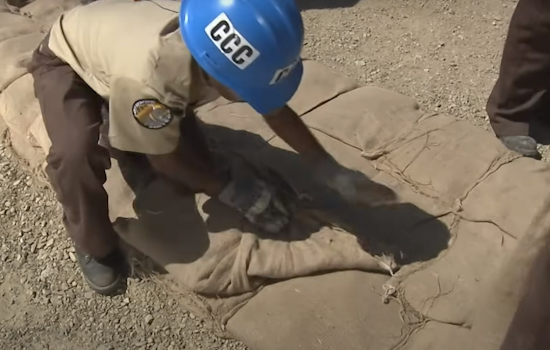 LAFD Distributes Free Sandbags to Los Angeles Residents in Anticipation of Floods