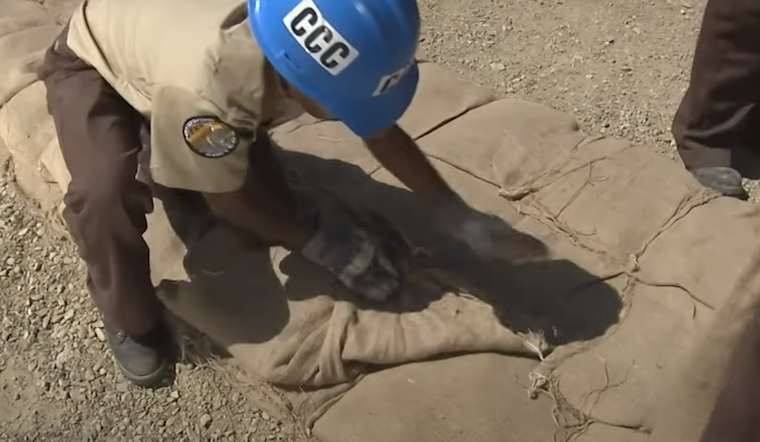 LAFD Distributes Free Sandbags to Los Angeles Residents in Anticipation of Floods