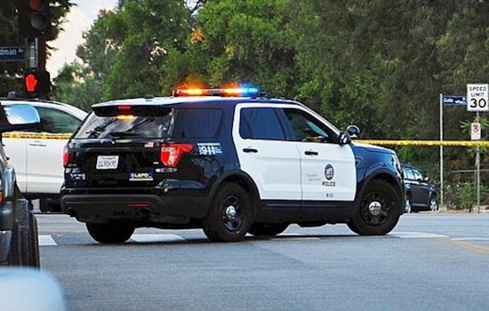 LAPD Arrests Six in Prostitution Sting in South Los Angeles