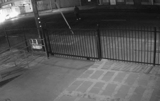 LAPD Seeks Driver in Fatal Hit-and-Run Collision in Los Angeles, Victim Succumbs to Injuries