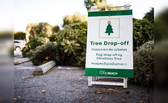 Long Beach Offers 'Treecycling' Program for Post-Holiday Christmas Tree Recycling