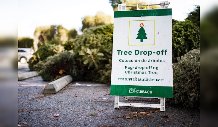 Long Beach Offers 'Treecycling' Program for Post-Holiday Christmas Tree Recycling