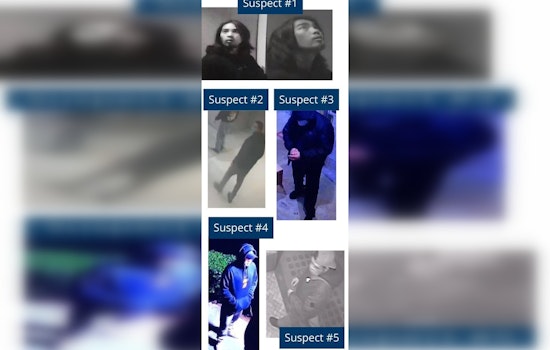 Long Beach Police Seek Help to Nab Suspects in KnoxBox-Linked Burglaries Downtown