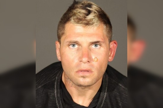 Los Angeles County Sheriff's Department Seeks Public Help in Capturing Suspected West Hollywood Mailroom Burglar and Arsonist