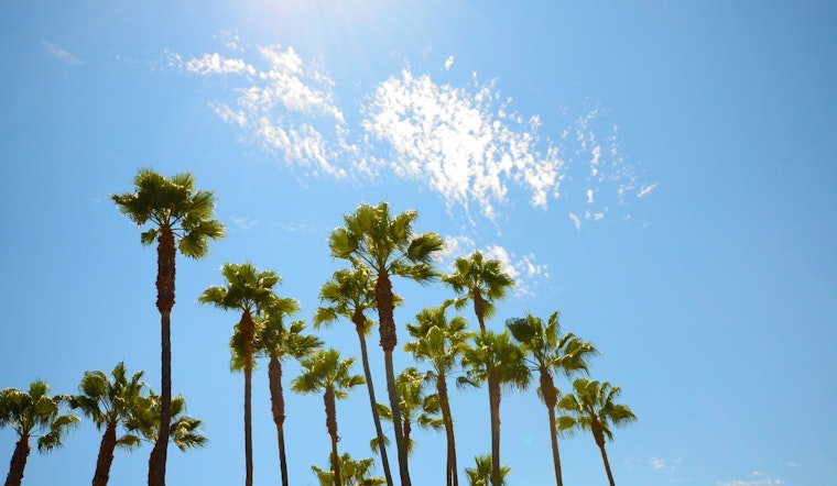 Los Angeles Forecast, Sunny Holiday Week with Mild Temperatures Ahead