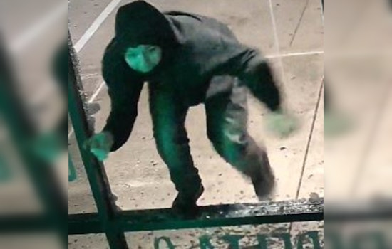 Manor Police Seek Suspects in Early Morning Burglary at Delta Bros Wellness Store