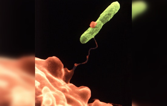 Massachusetts Resident Dies, Another Infected After Staying at New Hampshire Resort Linked to Legionnaires' Outbreak